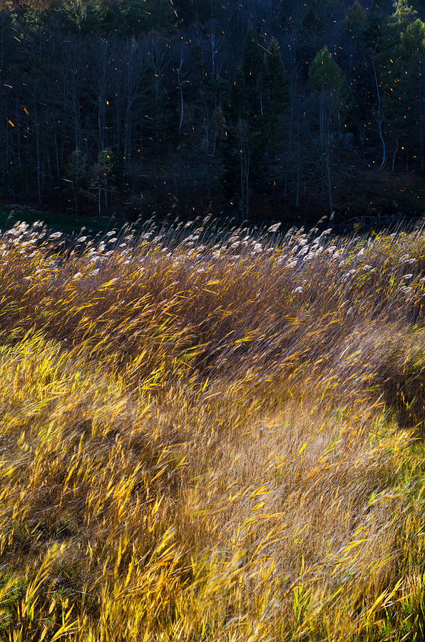Via con il Vento d'Autunno