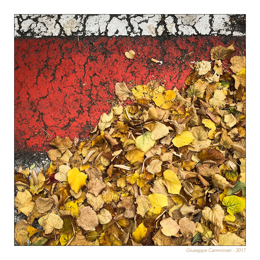 Bianco rosso e giallo