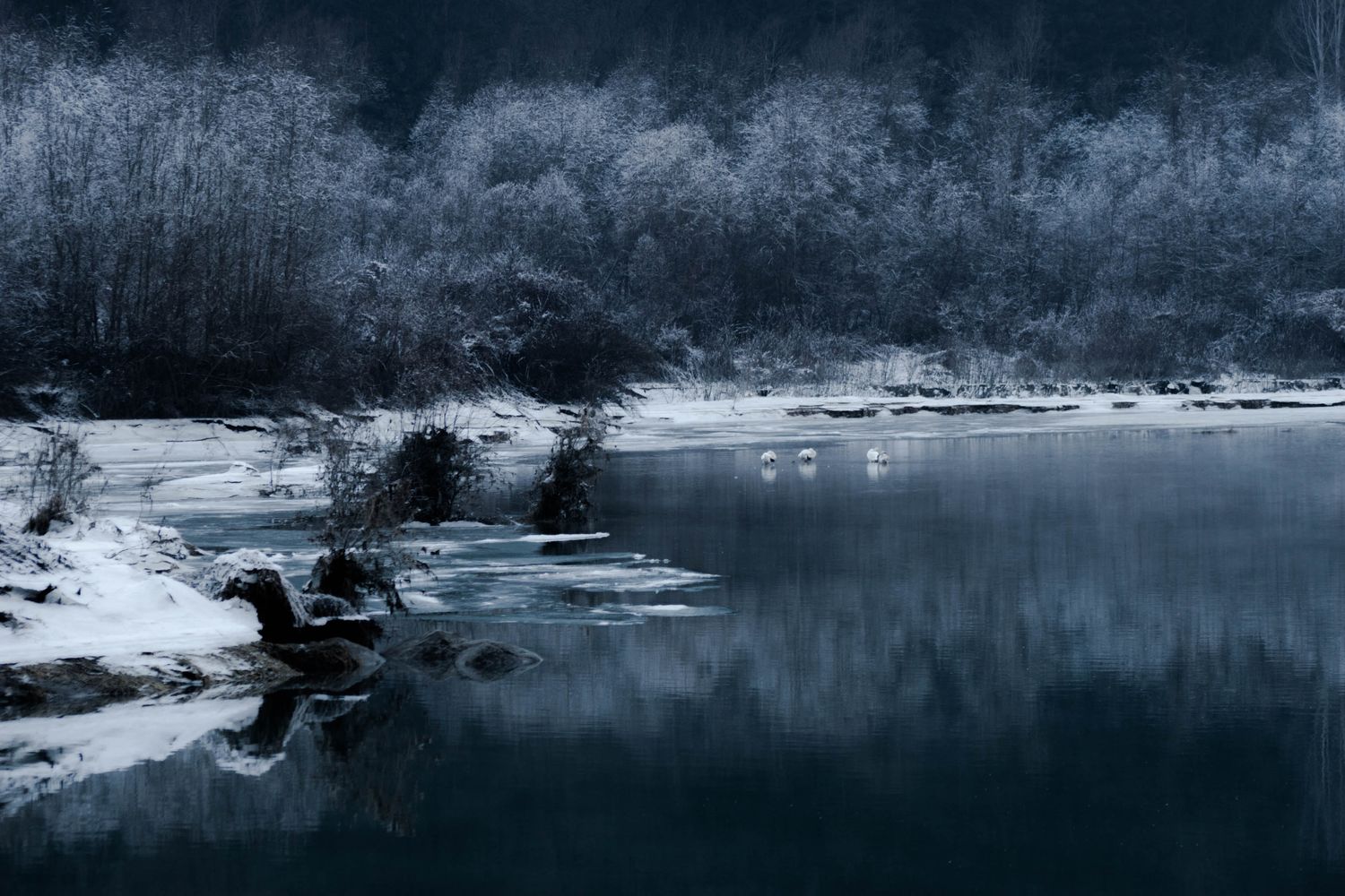 i signori della palude