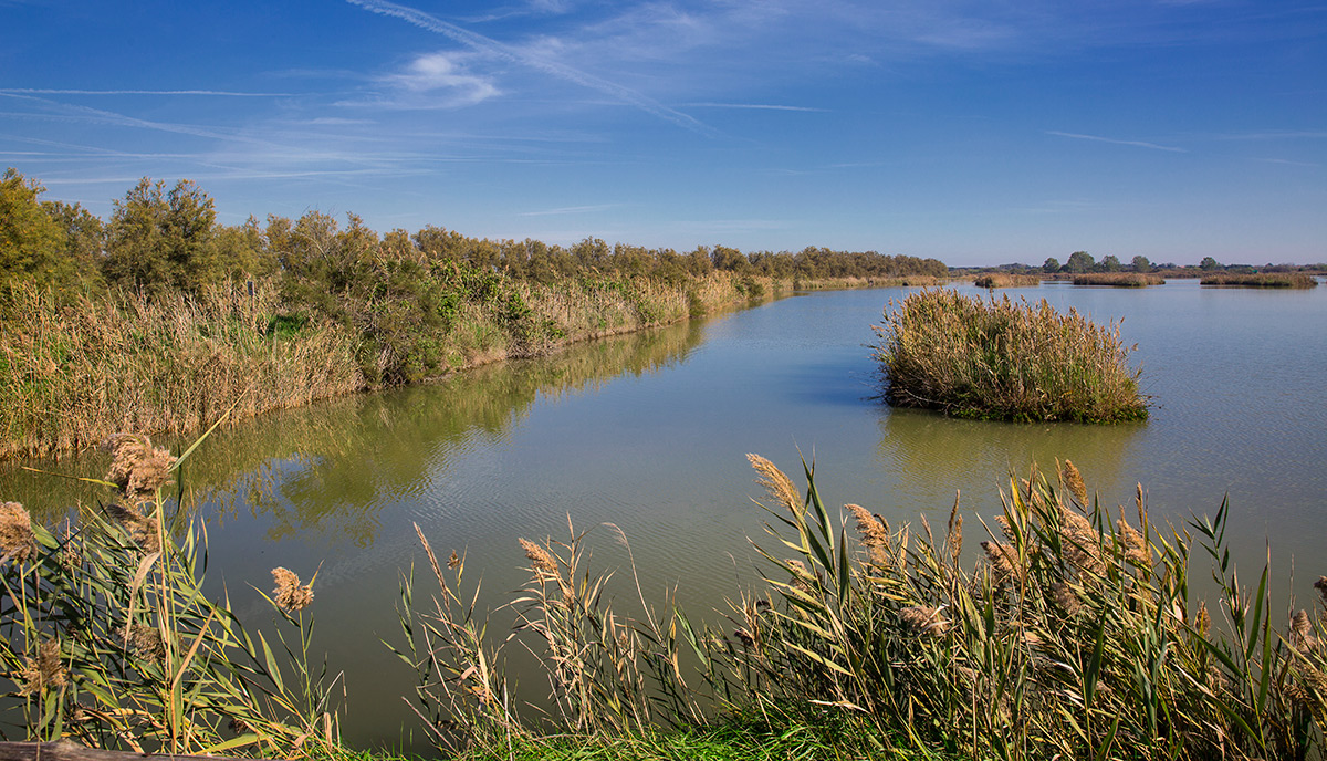 Valle del Delta del Po