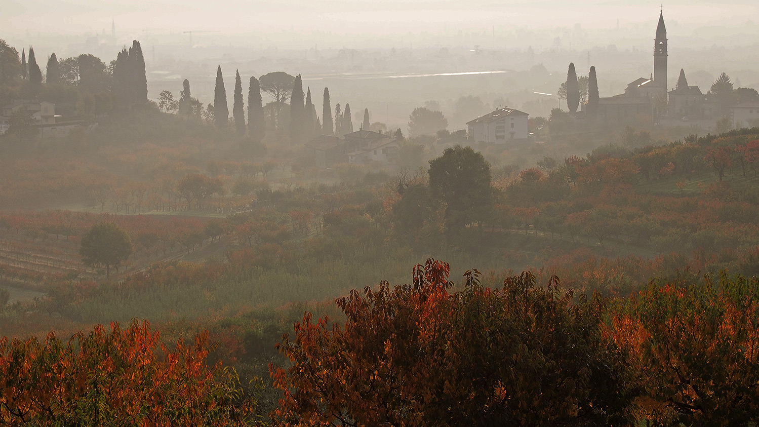 Colli Berici autunnali