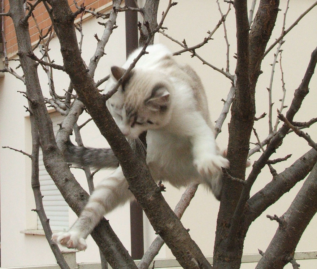 Houston, abbiamo un problema...!!!