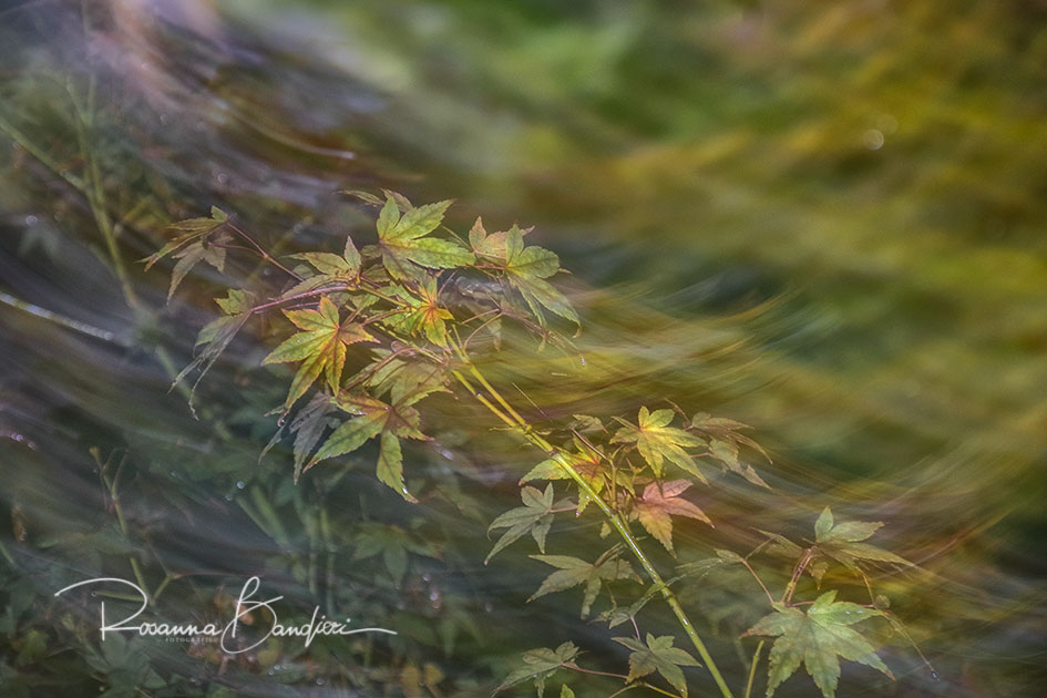 novembre...� per Te