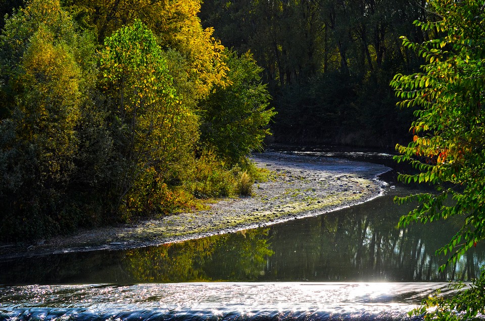 La Dora Riparia nel parco della Pellerina a Torino