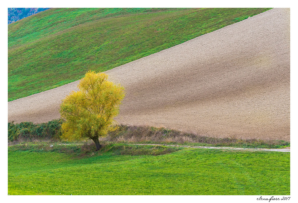 geometrie d'autunno