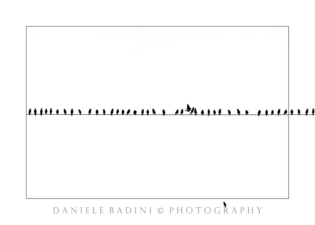 tutti in fila...dentro e fuori