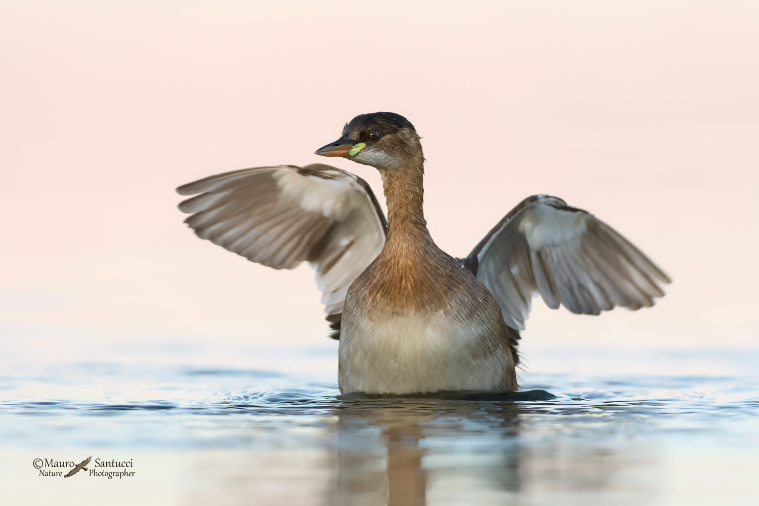 Tuffetto in angel style