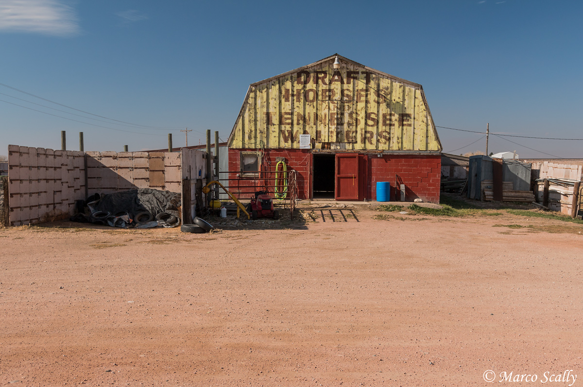 Horse Storage, Colorado