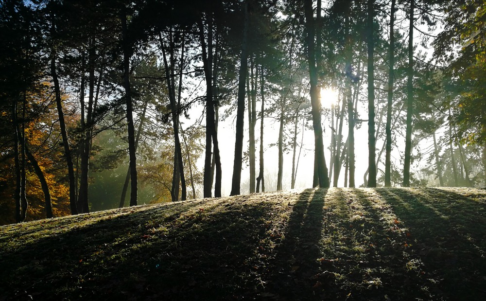 Arriva l'invero 2017/2018