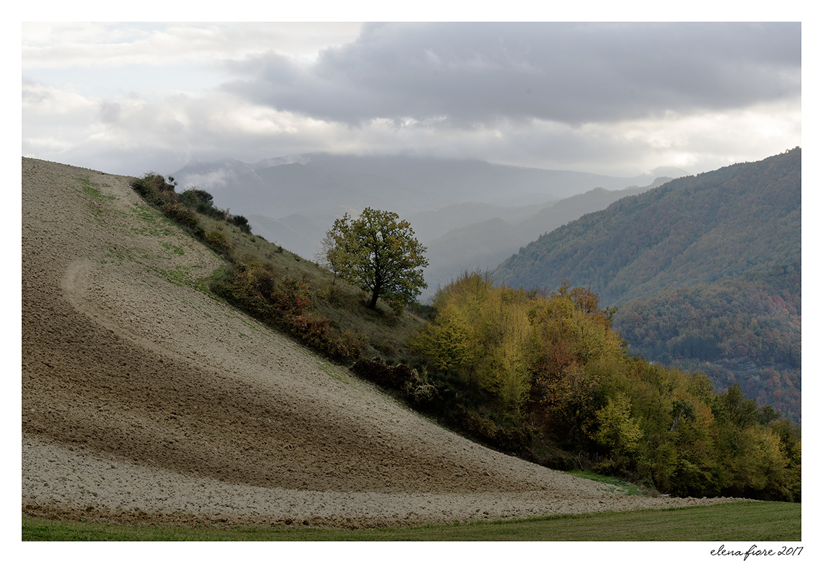 pian piano l'autunno.. se ne va