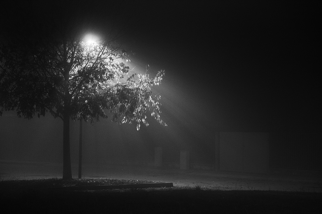 La magia della nebbia