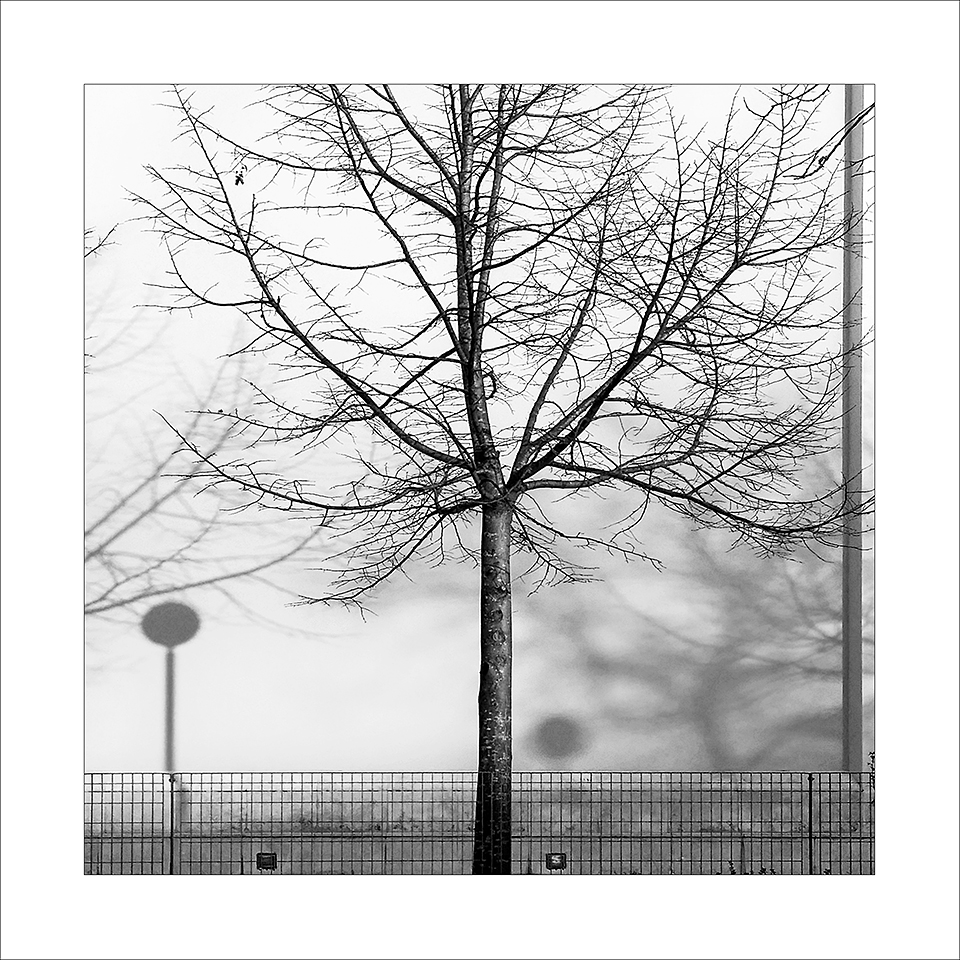 La luce.. lascia il segno