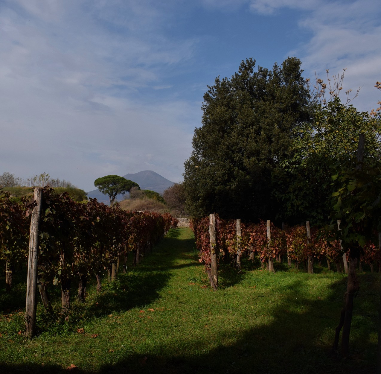 Il Vesuvio visto dagli scavi di Pompei