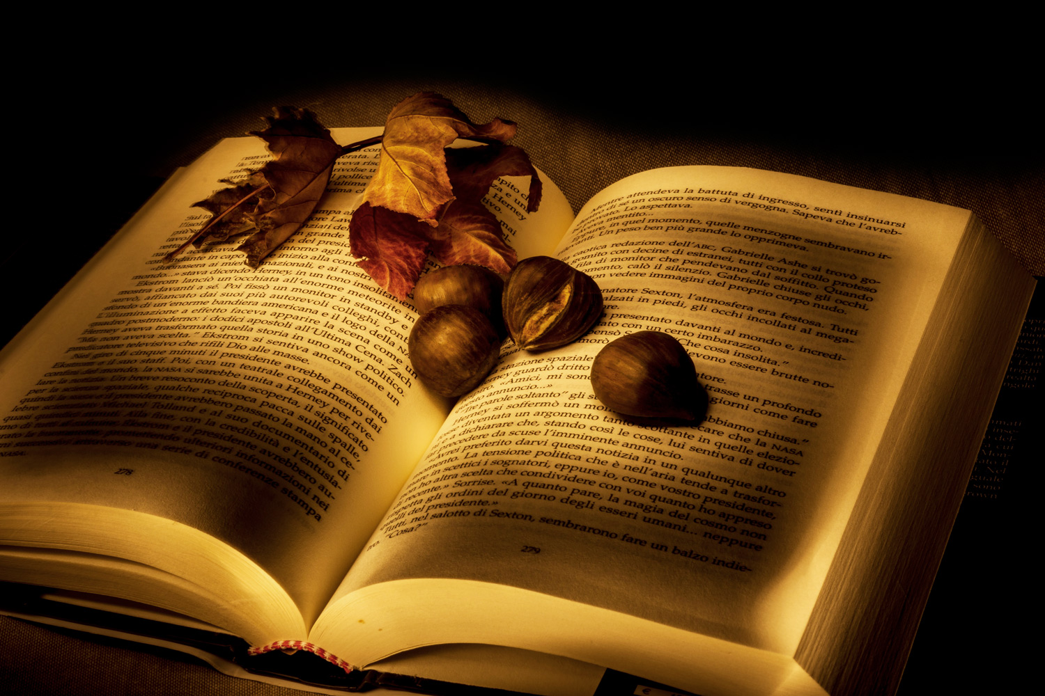 Calore delle luci di un libro nel freddo autunno