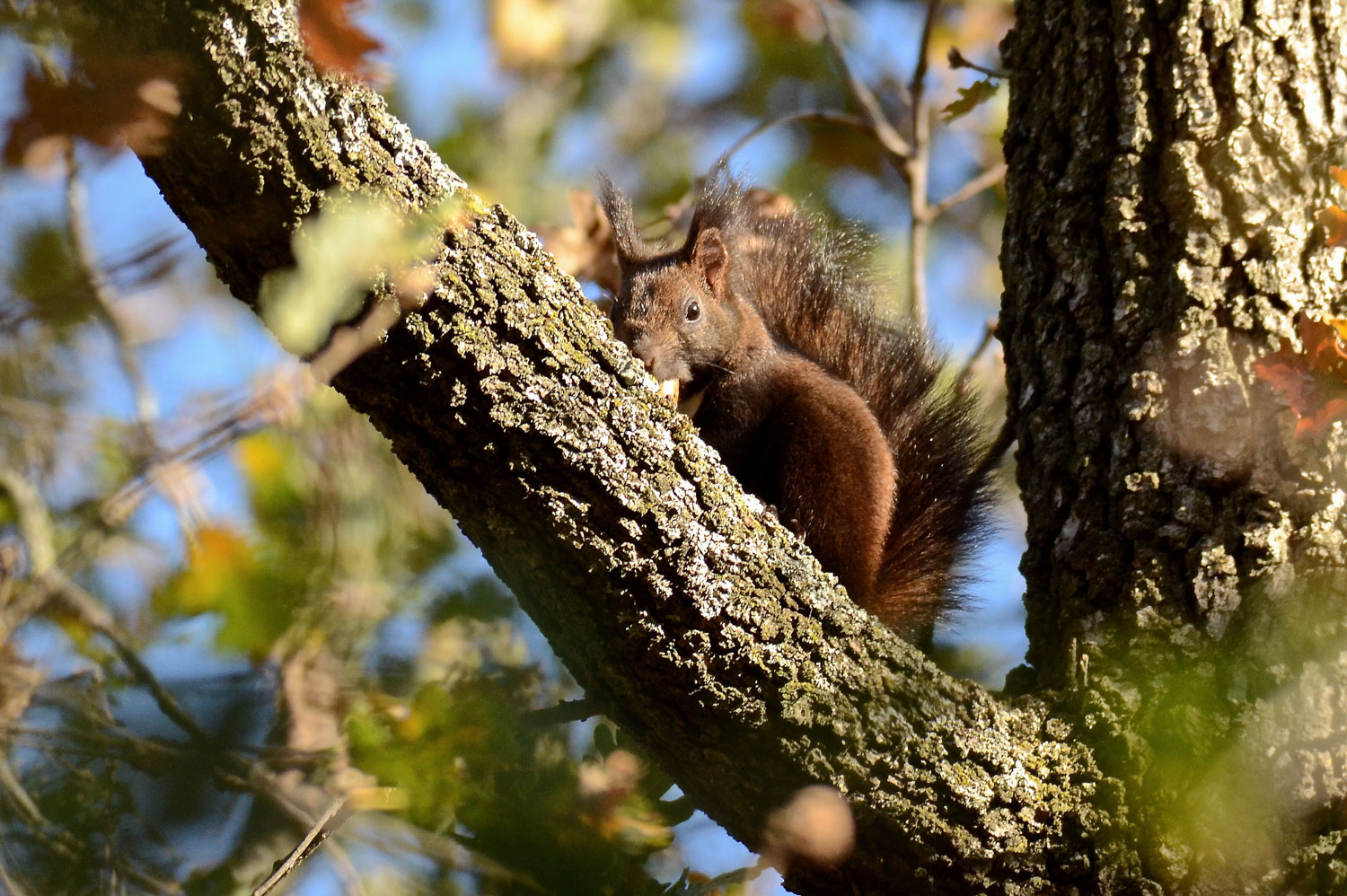 Giocando a nascondino...