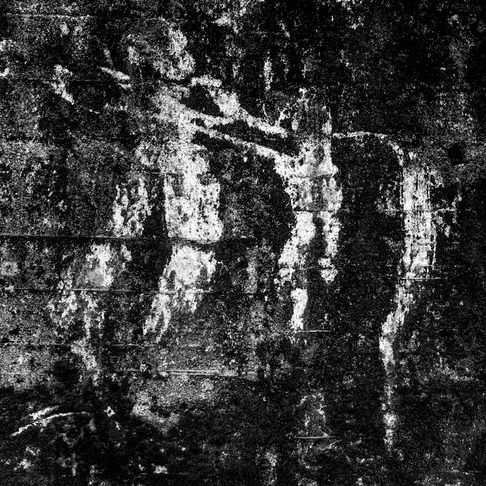 The modern dance (Pere Ubu)