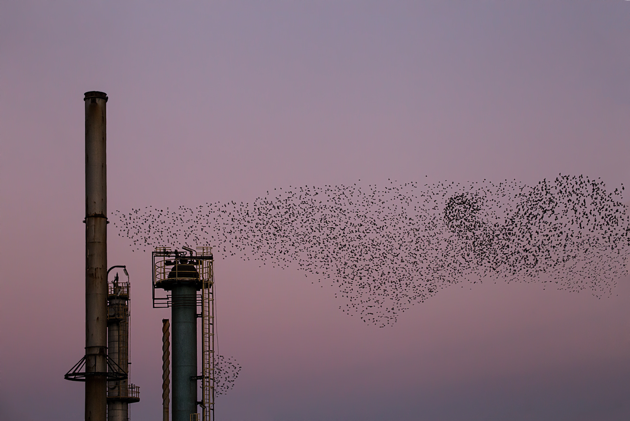 Verso sera in raffineria
