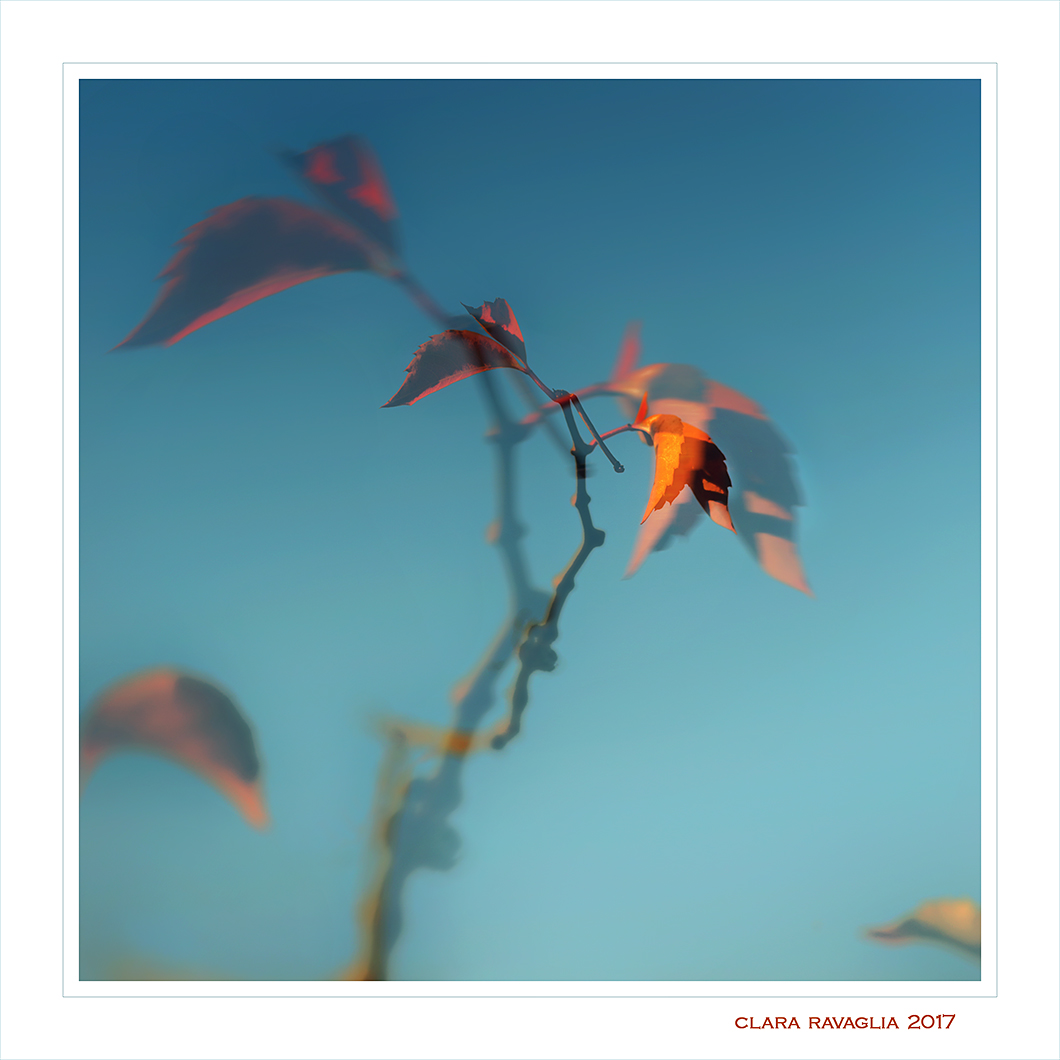 Anime...nell'azzurro