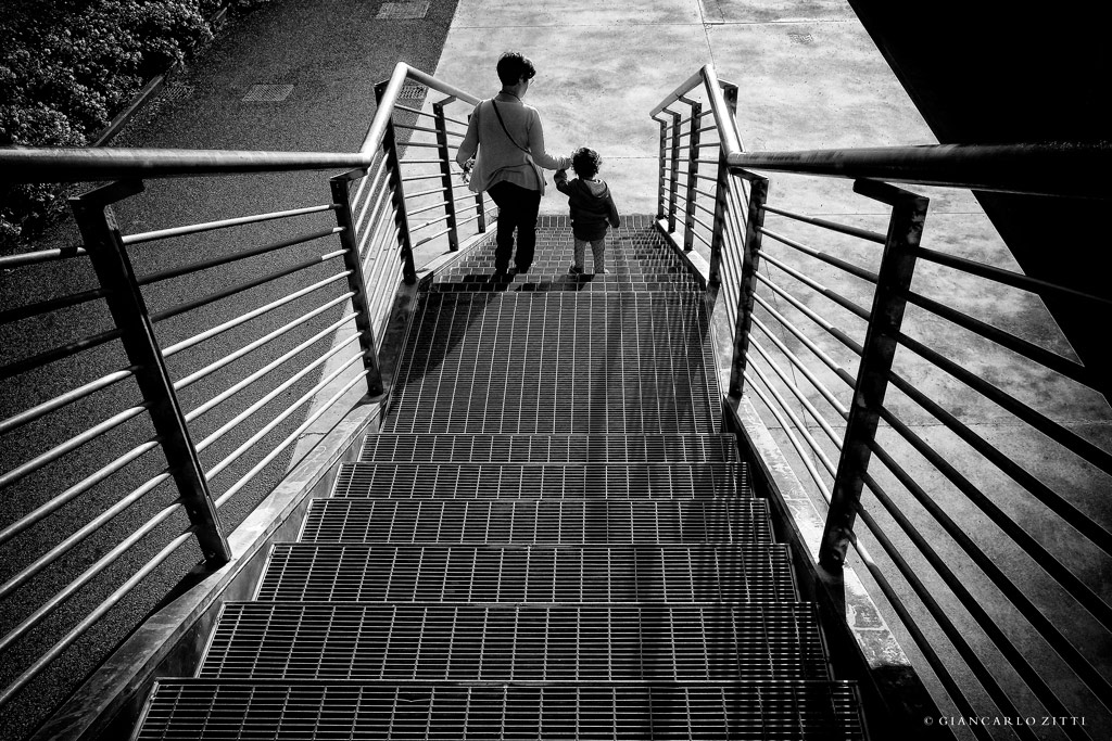 Parco Dora, Torino 2016