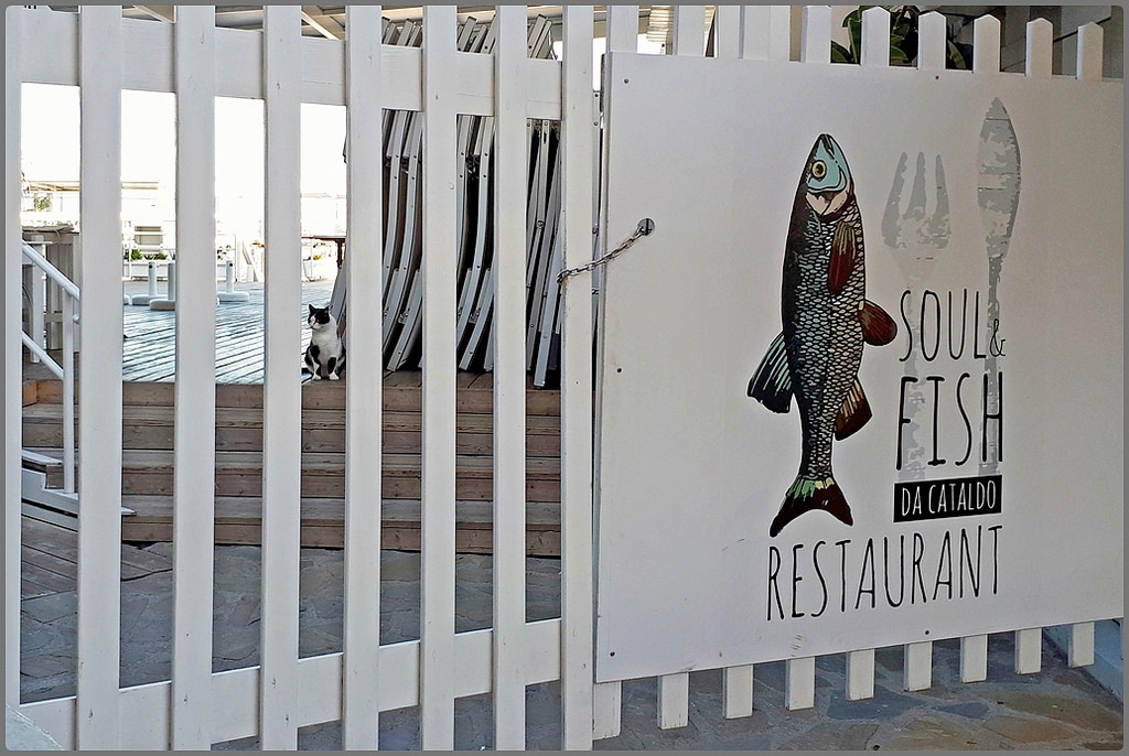 L'altro mare img.078