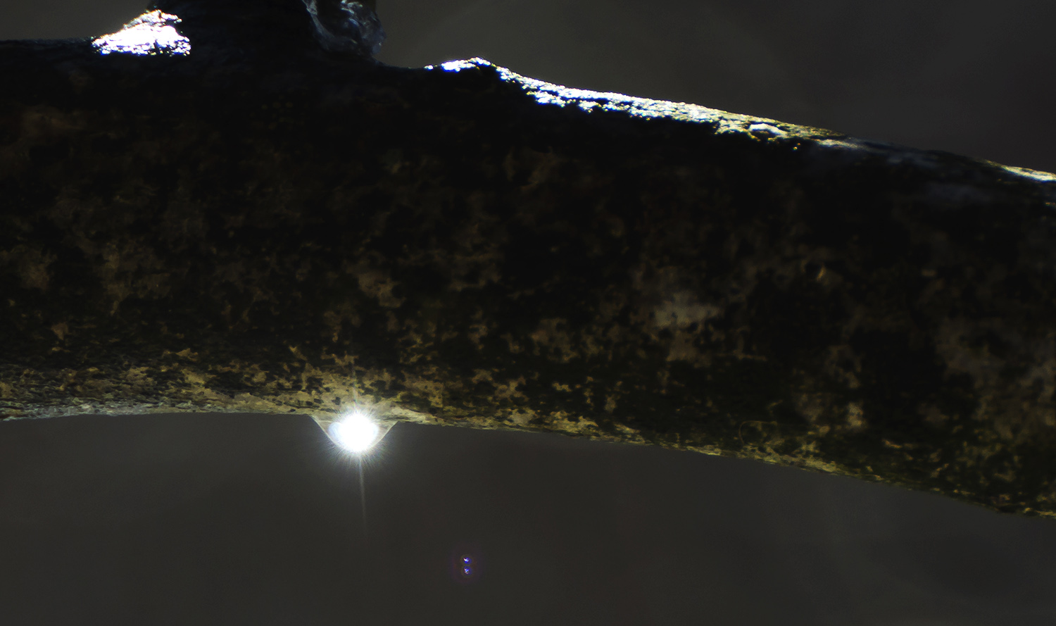 Un piccolo sole....a 500mm