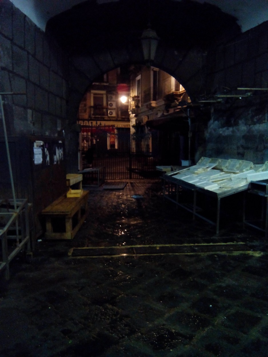 BANCHI DEL PESCE NEL TUNNEL SOTTO IL PALAZZO DEL SEMINARIO DEI CHIERICI