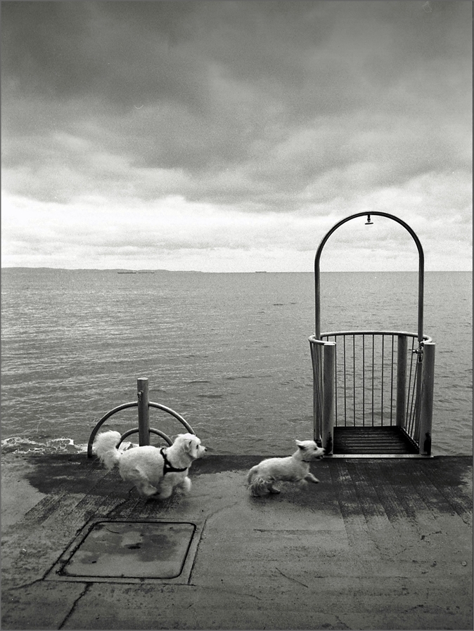 L'altro mare img.073