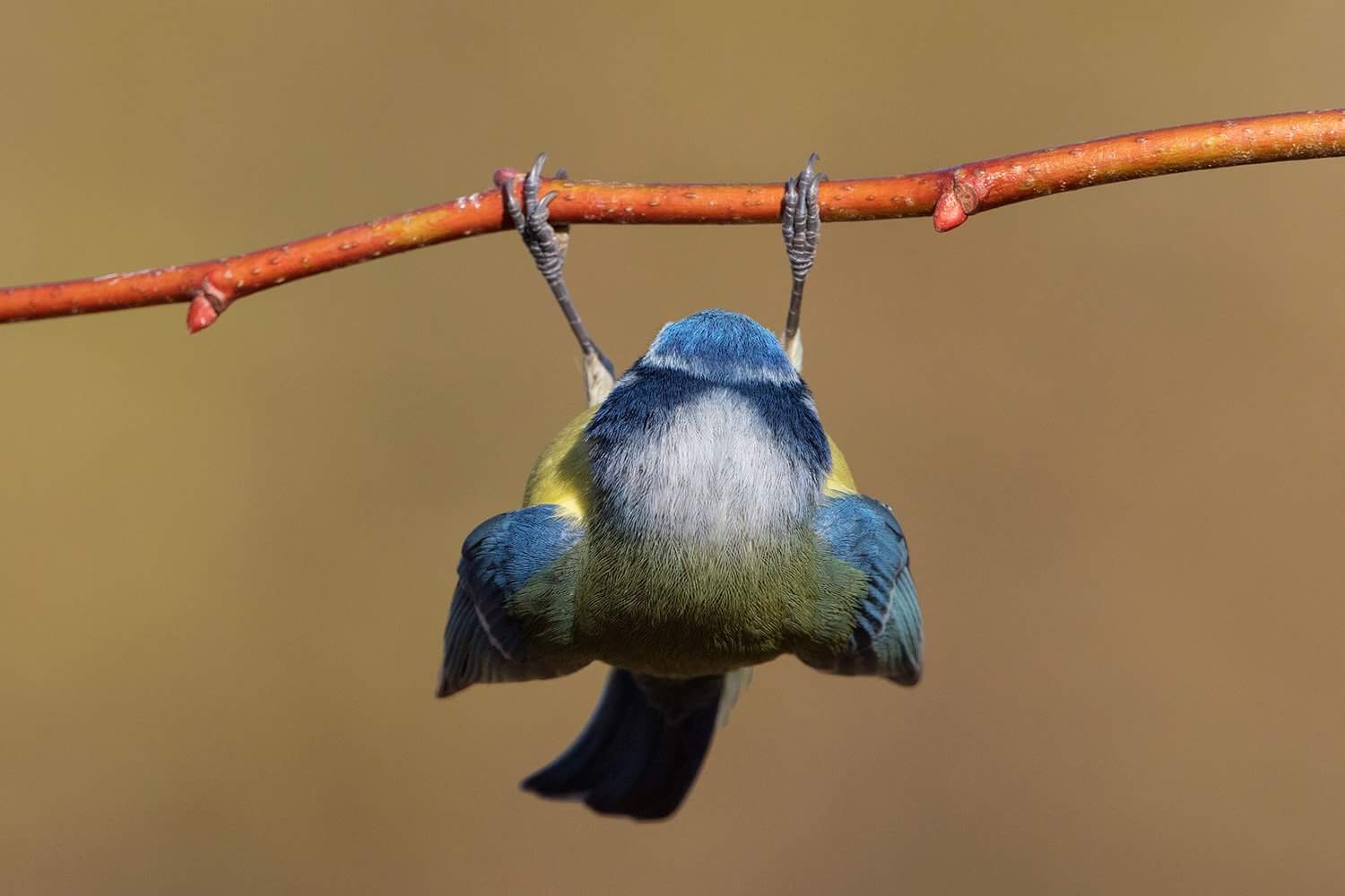 io invece cos�....