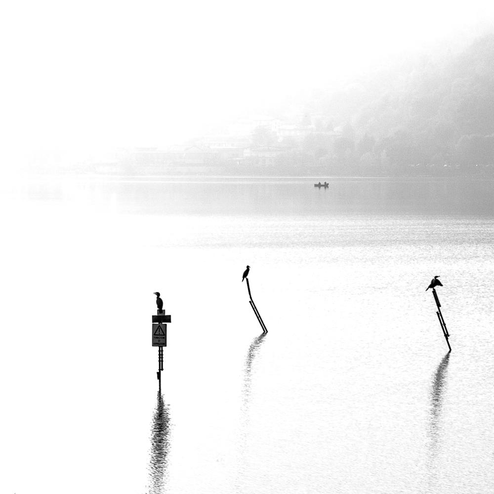 Veduta sul lago di Garlate