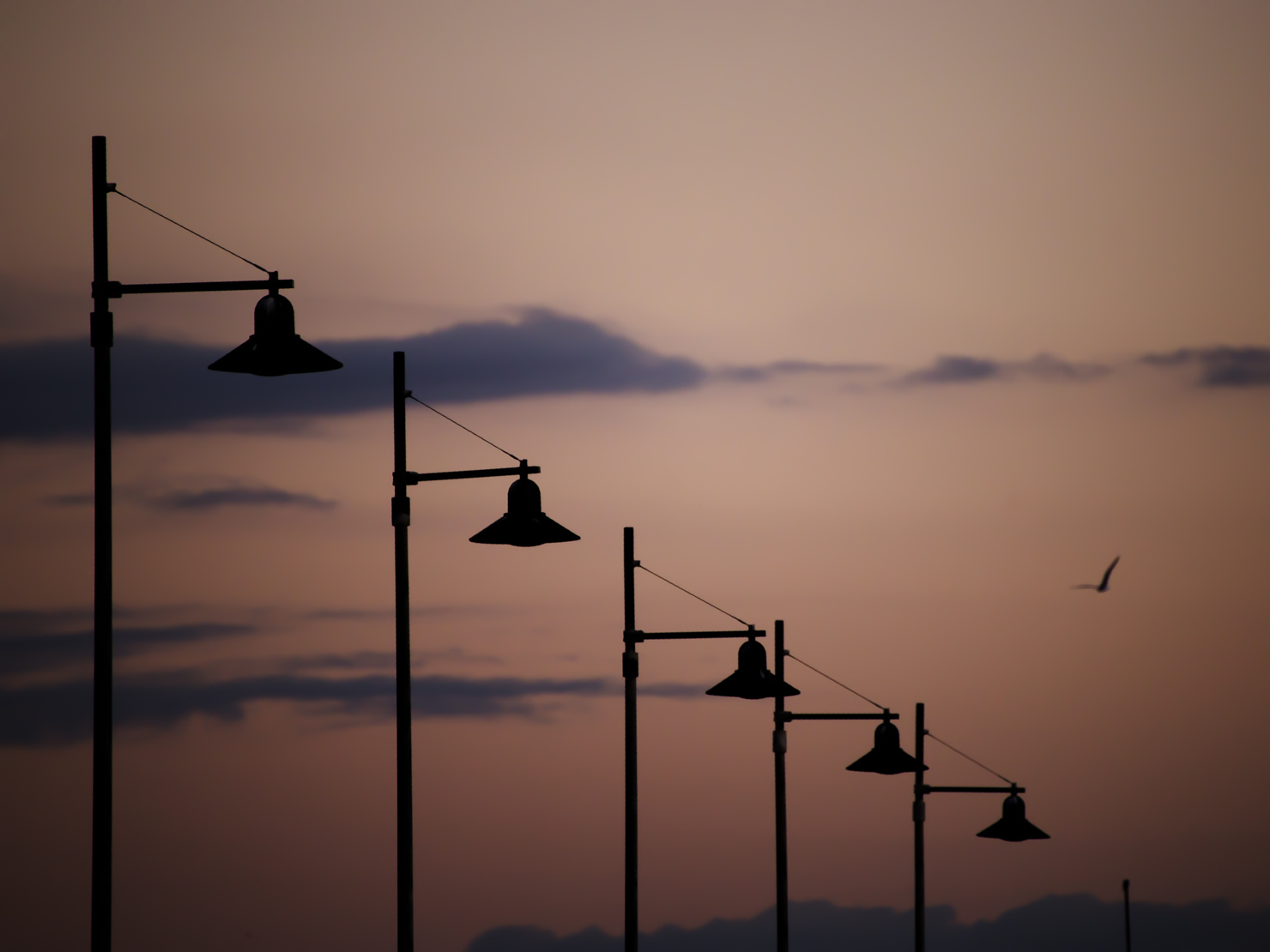 Lampioni che passione !