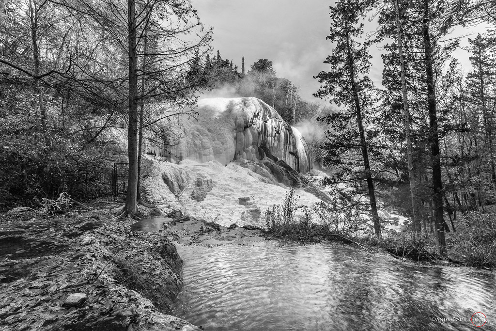 la "balena bianca" in BN