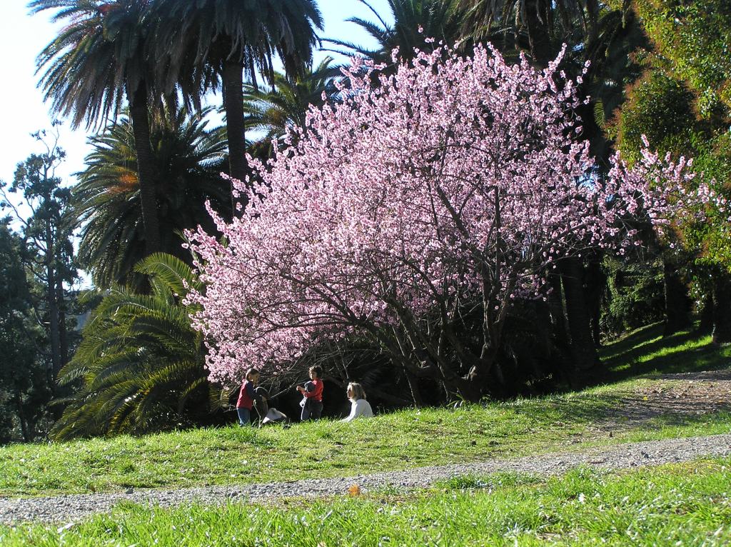 Mamma e bimbi sotto la primavera d'Inverno