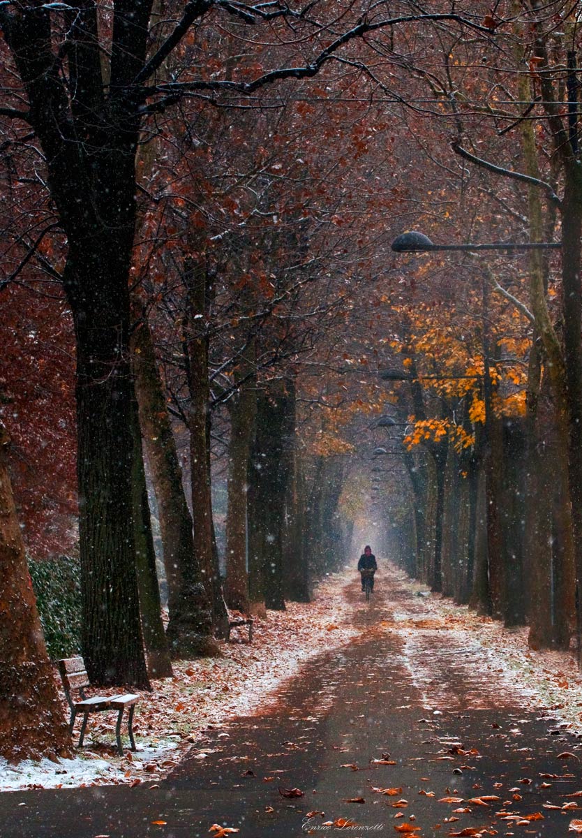 l'autunno si veste di bianco