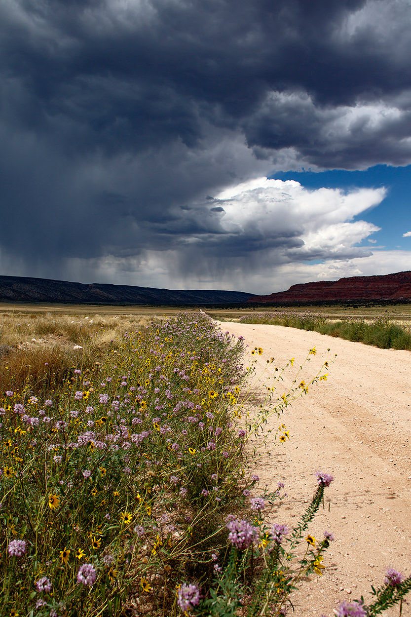 Attraverso il Vermillion Cliffs USA 2017