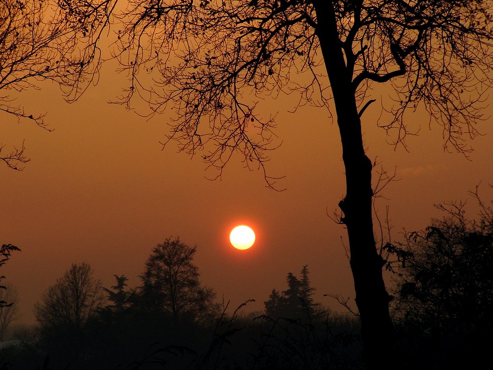 tramonto nel parco