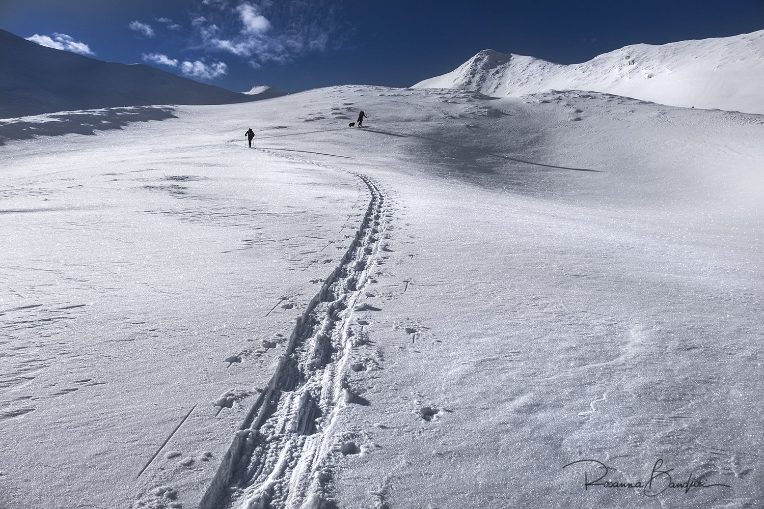 la mia fila al centro commerciale