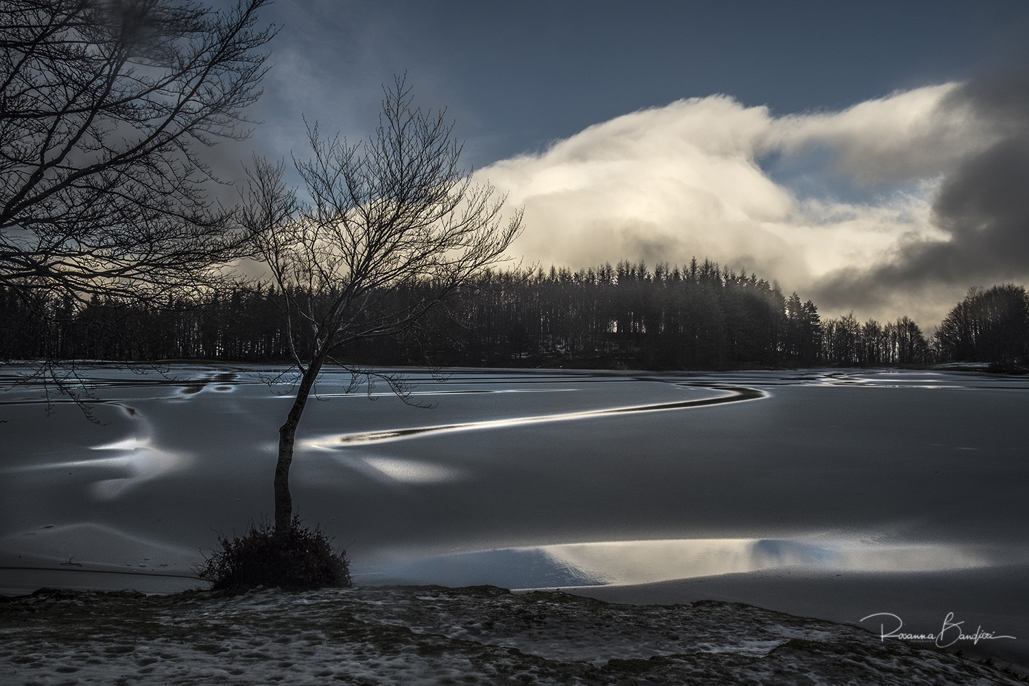 Il ghiaccio � acqua che � rimasta fuori al freddo e si � addormentata. (John Garland Pollard)
