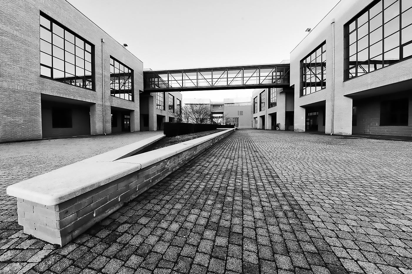 Prime prove con l' 11-24 Canon