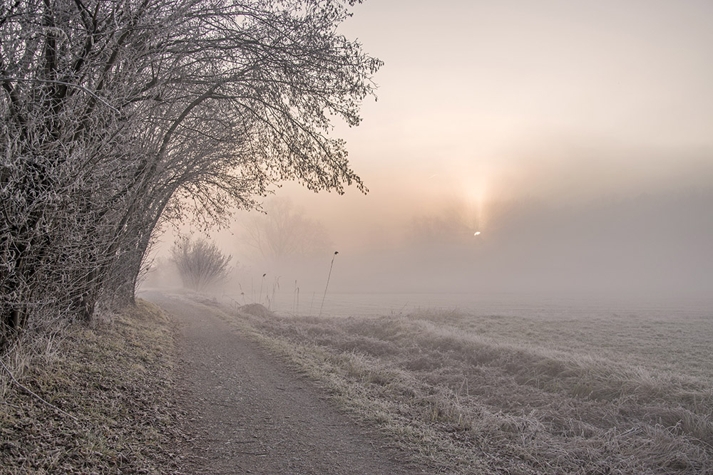 una fredda mattina di dicembre 2