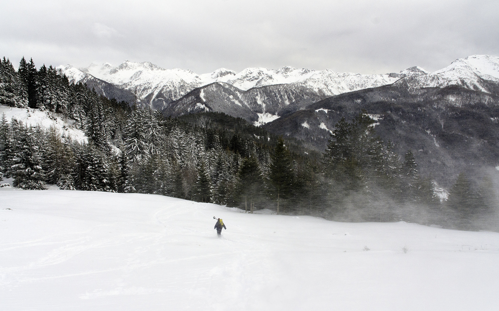 "In ogni passeggiata nella natura l�uomo riceve molto di pi� di ci� che cerca"