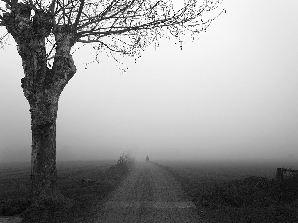 Immerso nella nebbia