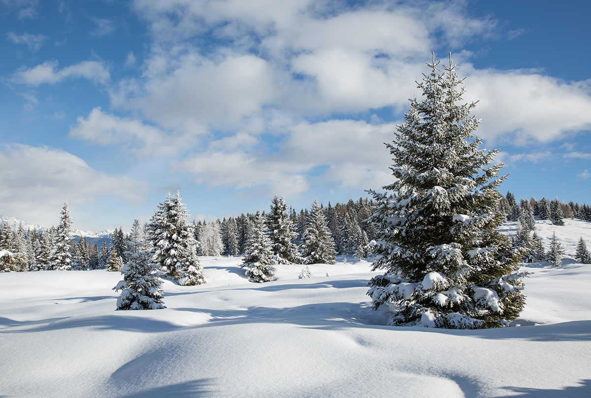 Alpe di Rodengo (Bz)