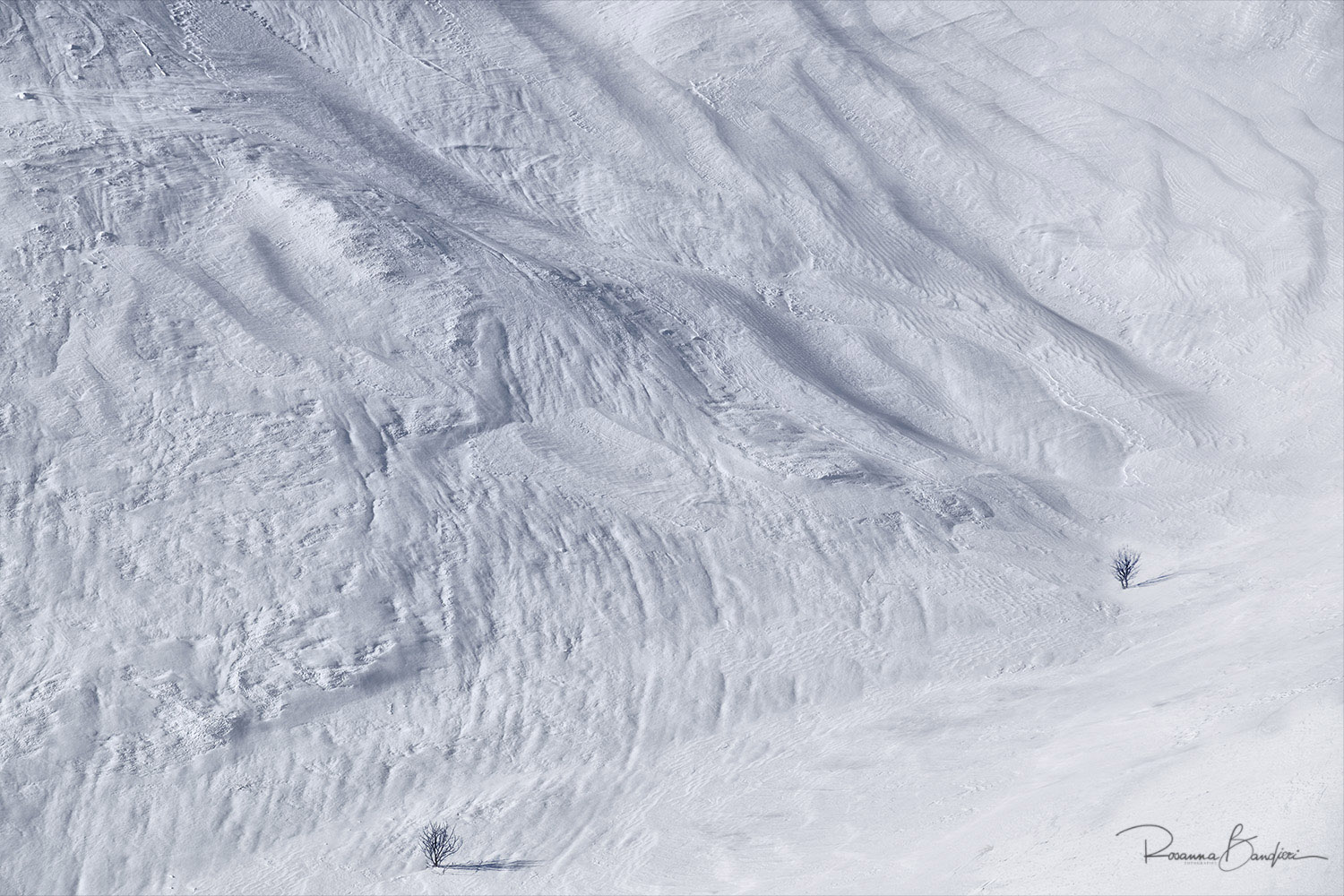 dedicato a due amiche