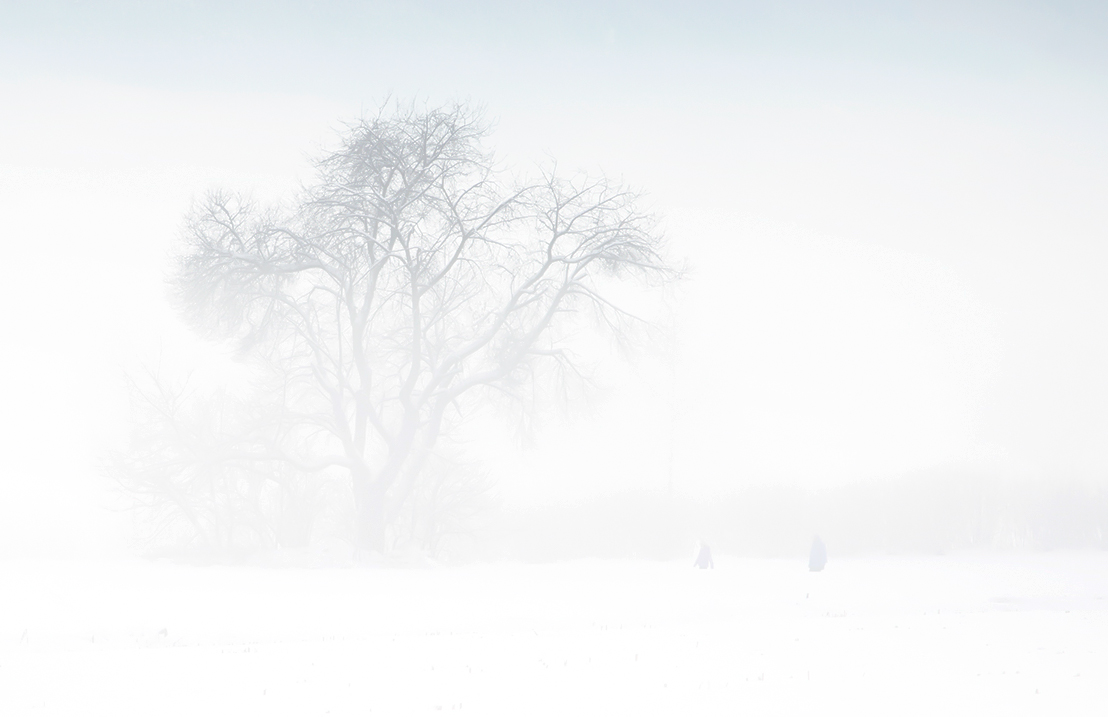 Nella nebbia e nella neve