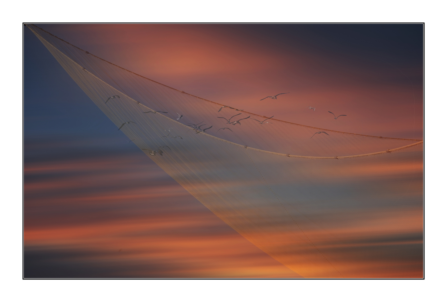 A pesca di nuvole e gabbiani....