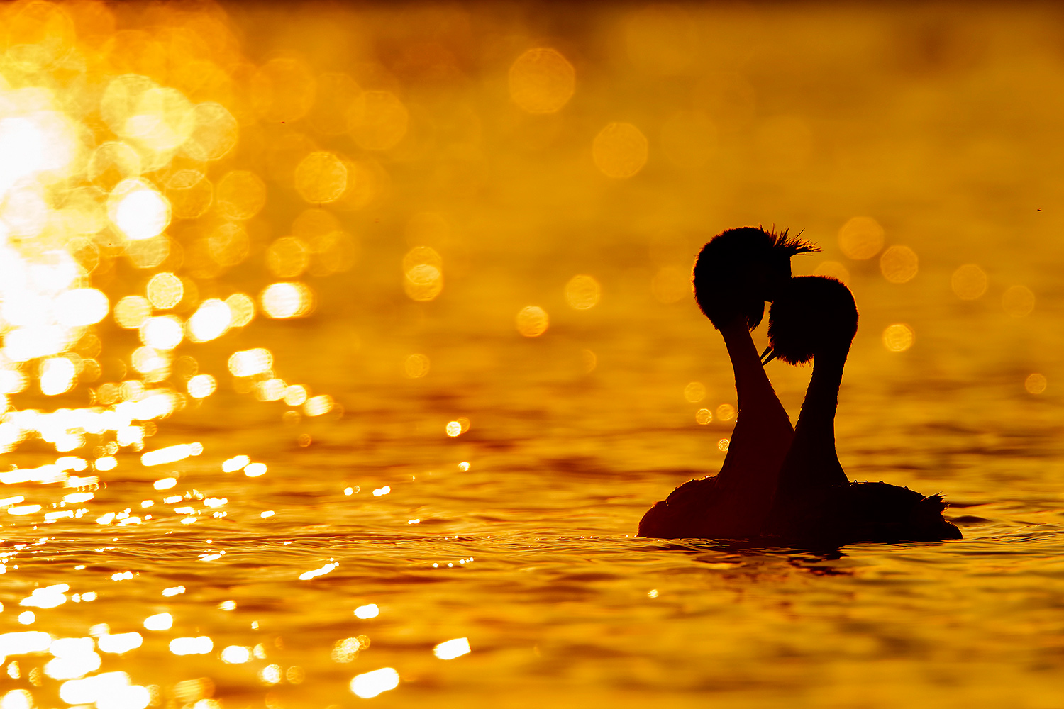 tempo di ricordi.....2