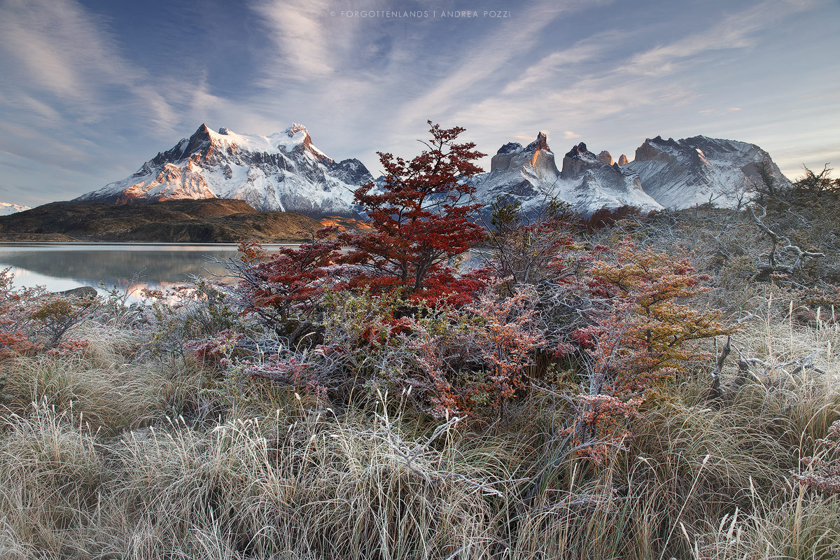 Ultimi acuti autunnali
