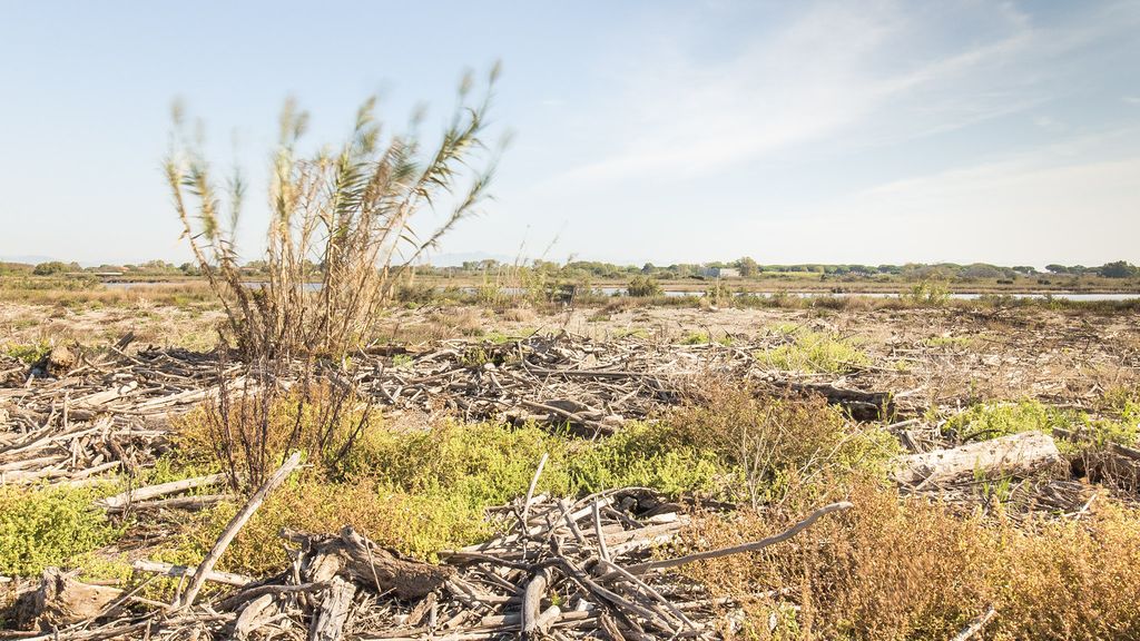 Oasi dei Variconi - Castel Volturno