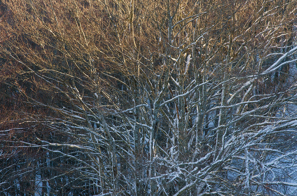 Una Linea che Divide