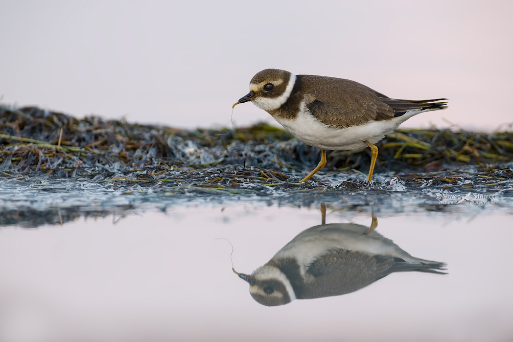 Colazione allo specchio